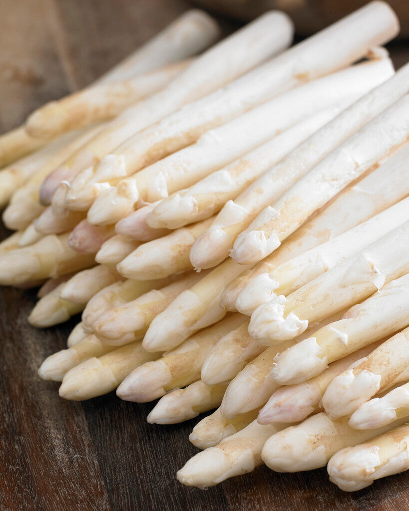 Asparges hvit Asparges 'Albus' 2-pakning